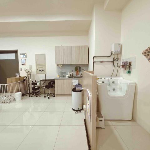 香波居Cat BnC 新北合法貓旅館 - 美容洗澡區