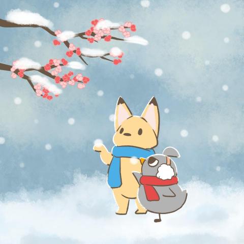 提供插畫師服務的專家Haku