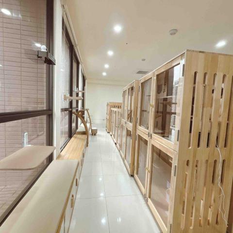 香波居Cat BnC 新北合法貓旅館 - 陽光住宿房
