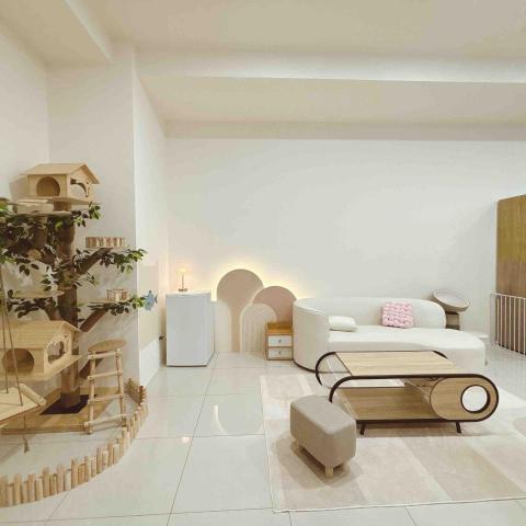 香波居Cat BnC 新北合法貓旅館 - 客人休息沙發區