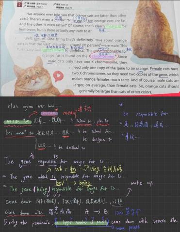 韓語緹 - 學生問題講解