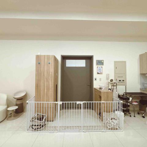 香波居Cat BnC 新北合法貓旅館 - 玄關置物區