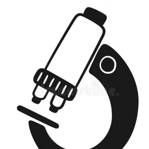 提供游泳課服務的專家翔的工作坊