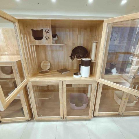香波居Cat BnC 新北合法貓旅館 - 120*90*180 超大可住四隻貓貓櫃