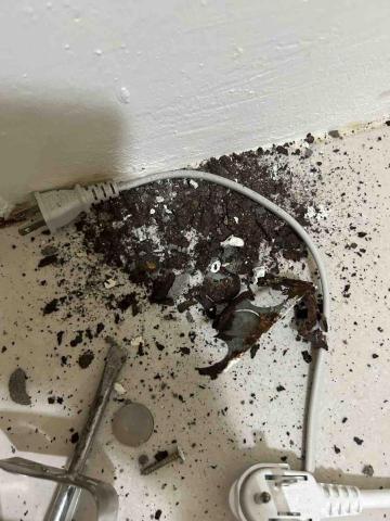 RyanLiu - 業主：插座腐蝕會鬆動