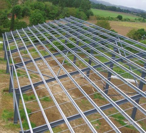 張超羣 - 定制型骨架01