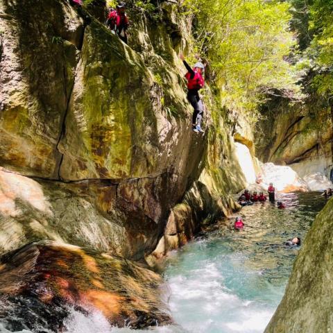 提供後台管理系統服務的專家陳麗莎