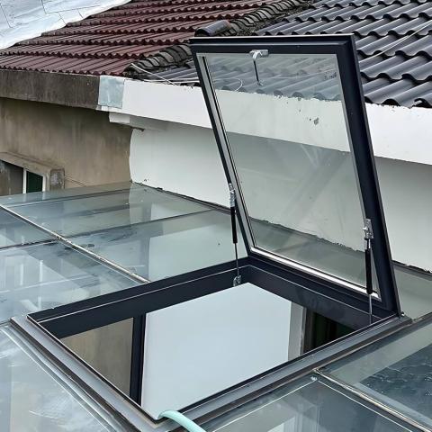 張超羣 - 採光罩01