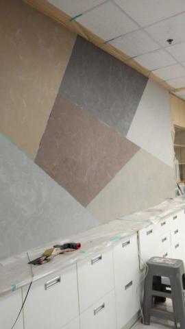 陳大雄 - 阿尼吉特殊漆