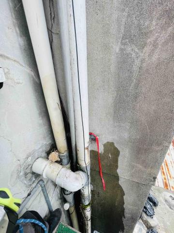 AWU - 台北萬華四樓外牆榕樹摘除-後