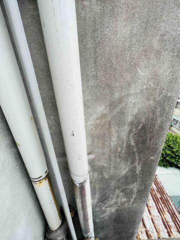 AWU - 台北萬華六樓外牆榕樹摘除-後