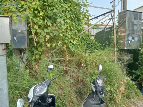 王東明 - 整理前