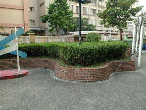 王東明 - 修剪後