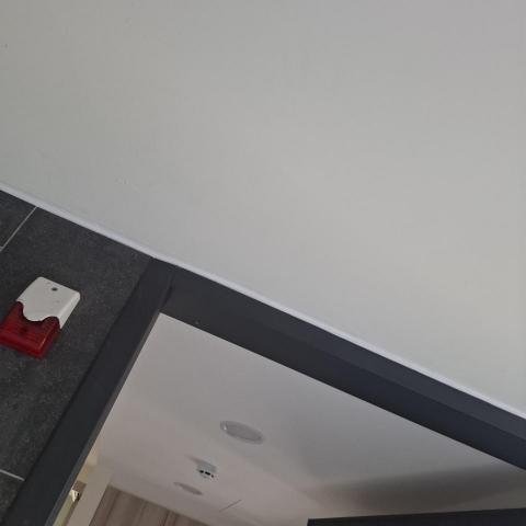 詠華工程有限公司 - 室內天花板，玄關大門框