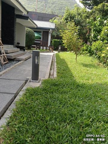 泡泡砍樹除草 - 草皮樹木修剪