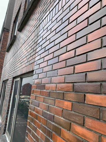 空降繩兵 余先生 - 外牆塗抹防水塗料