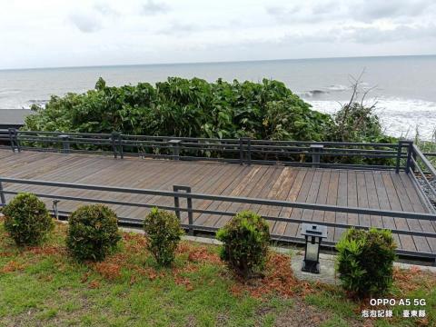 泡泡砍樹除草 - 構樹砍除前