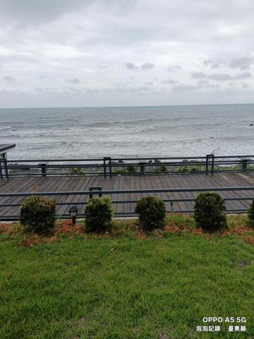 泡泡砍樹除草 - 砍除後