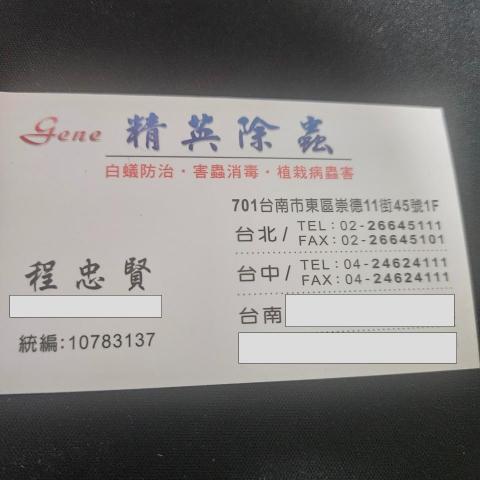 提供白蟻服務的專家精英除蟲