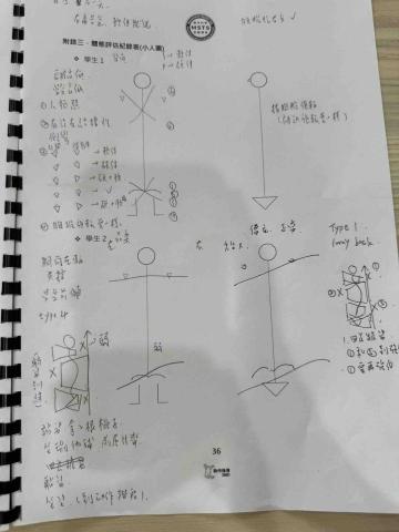 有養貓肌力與體能 - 