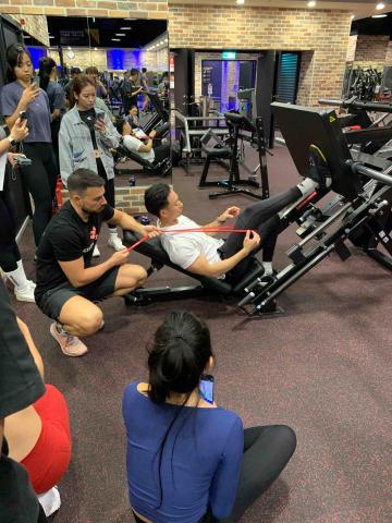 有養貓肌力與體能 - 