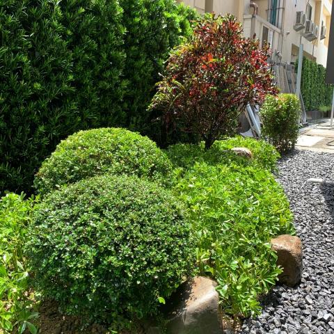 金沙人工草皮施工廠商推薦源鑫景觀工程行