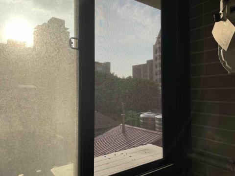 葉朕瑋 - 清潔前