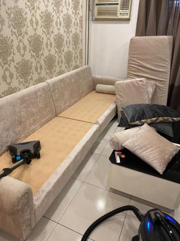 法蘭克病媒刻敏專家 - 洗沙發，除塵蟎服務
