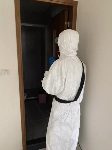 法蘭克病媒刻敏專家 - 全室除甲醛