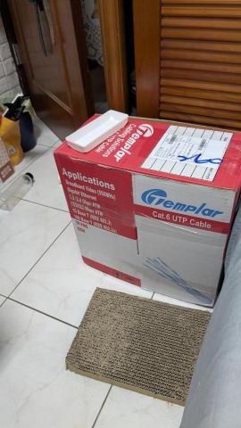 陳鼎元 - 整箱網路線