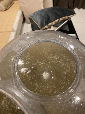 法蘭克病媒刻敏專家 - 除塵蟎服務
針對床墊、沙發、寢具等過敏原熱點，專業除塵蟎，改善過敏體質與呼吸道健康。