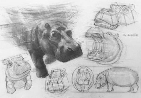 Han studio  邱柏翰 - 「如果我把牠當成一個機木，會是什麼樣的幾何形？」
這張河馬的分析，就是從這樣的想法出發。

將外觀還原為空間體積，
能幫助我們更準確地控制姿態、比例與光影
結構不是限制，而是讓你能自由表現的基礎

適合希望強化觀察力與造型結構的學員
˙想了解課程內容與上課模式，歡迎私訊洽詢