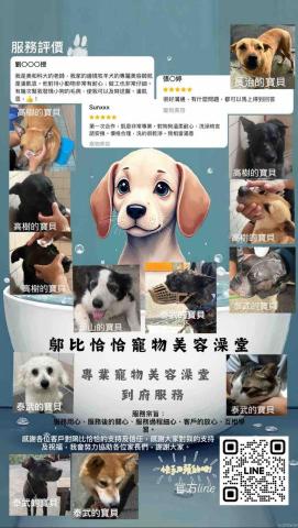 潘凱恩 - 服務屏東區