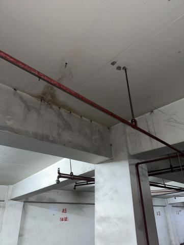 陳先生 - 抓漏高壓灌注