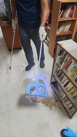 A+淘蟲師-正欣環衛 - 