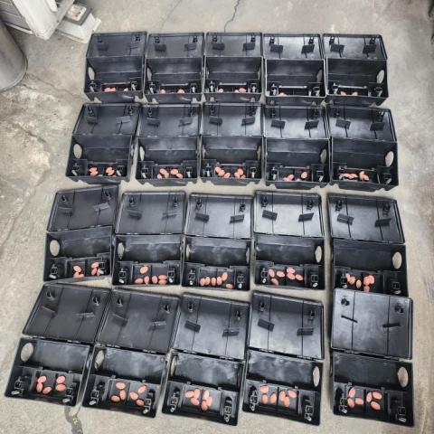 A+淘蟲師-正欣環衛 - 