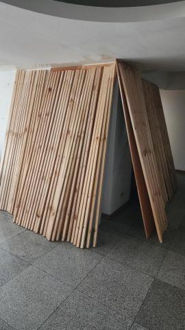 A+淘蟲師-正欣環衛 - 