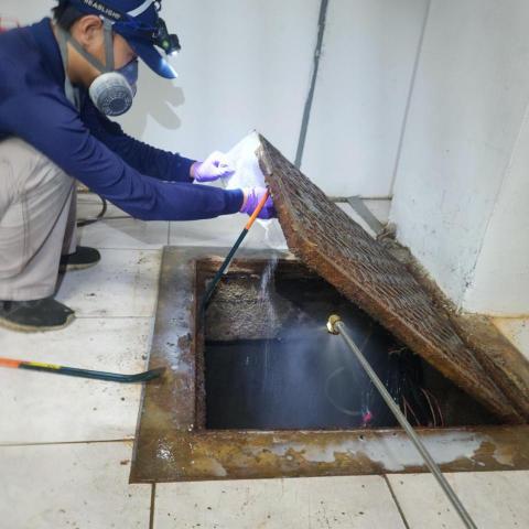 A+淘蟲師-正欣環衛 - 