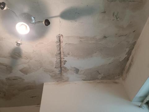 磊洲運輸 - 藥劑