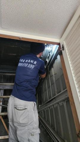 A+淘蟲師-正欣環衛 - 