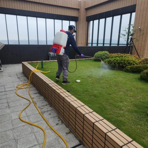 A+淘蟲師-正欣環衛 - 