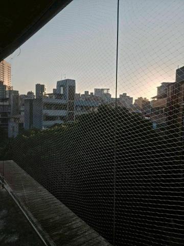 A+淘蟲師-正欣環衛 - 防鳥網完工-圖5