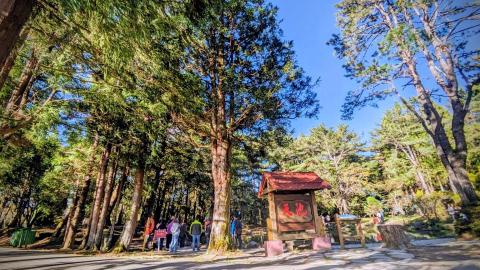 A-Xing包車旅遊 - 福壽山天池