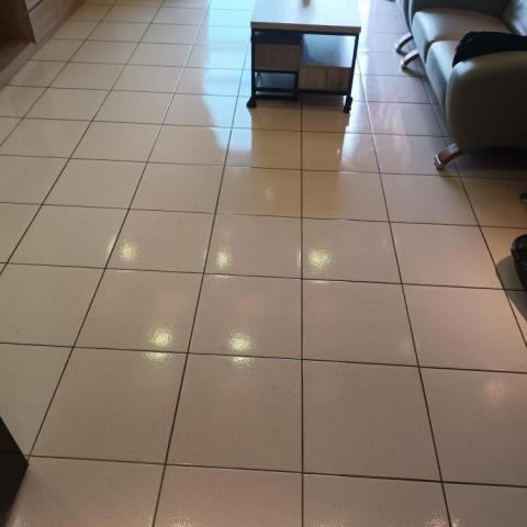 知足全方位居家清潔 - 客廳地板清潔