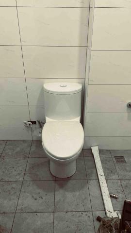 賴睿瑭 - 安裝單體式馬桶濕式