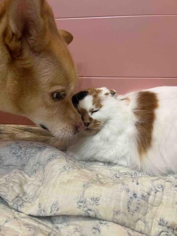 Tracy - 妳還好嗎？