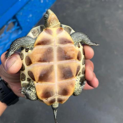 提供工作服訂做服務的專家Ken-ji Kuo