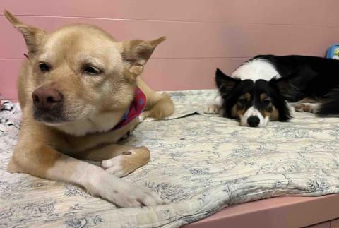 Tracy - 好舒服喔?