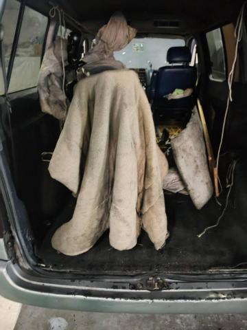 綠沐國際行銷策劃有限公司 - 