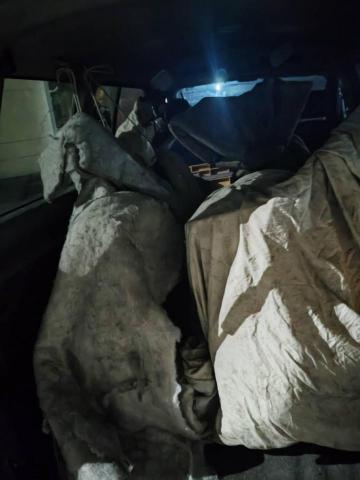 綠沐國際行銷策劃有限公司 - 